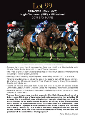 Lot 99: High Chaparral (IRE) / Glitzabeel (NZ)