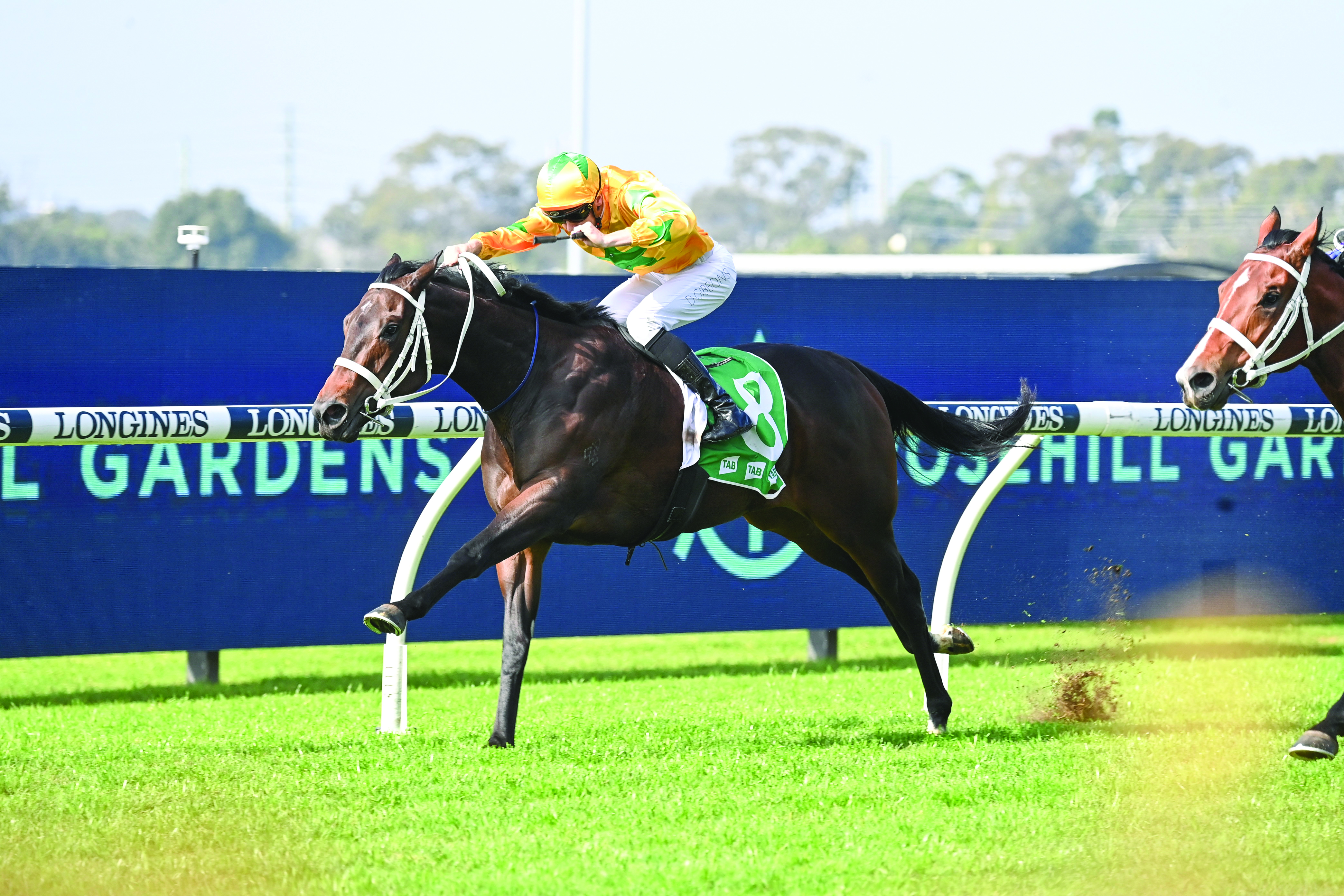 G1 mare Tutta La Vita to sell on Inglis Digital