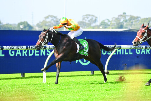 G1 mare Tutta La Vita to sell on Inglis Digital