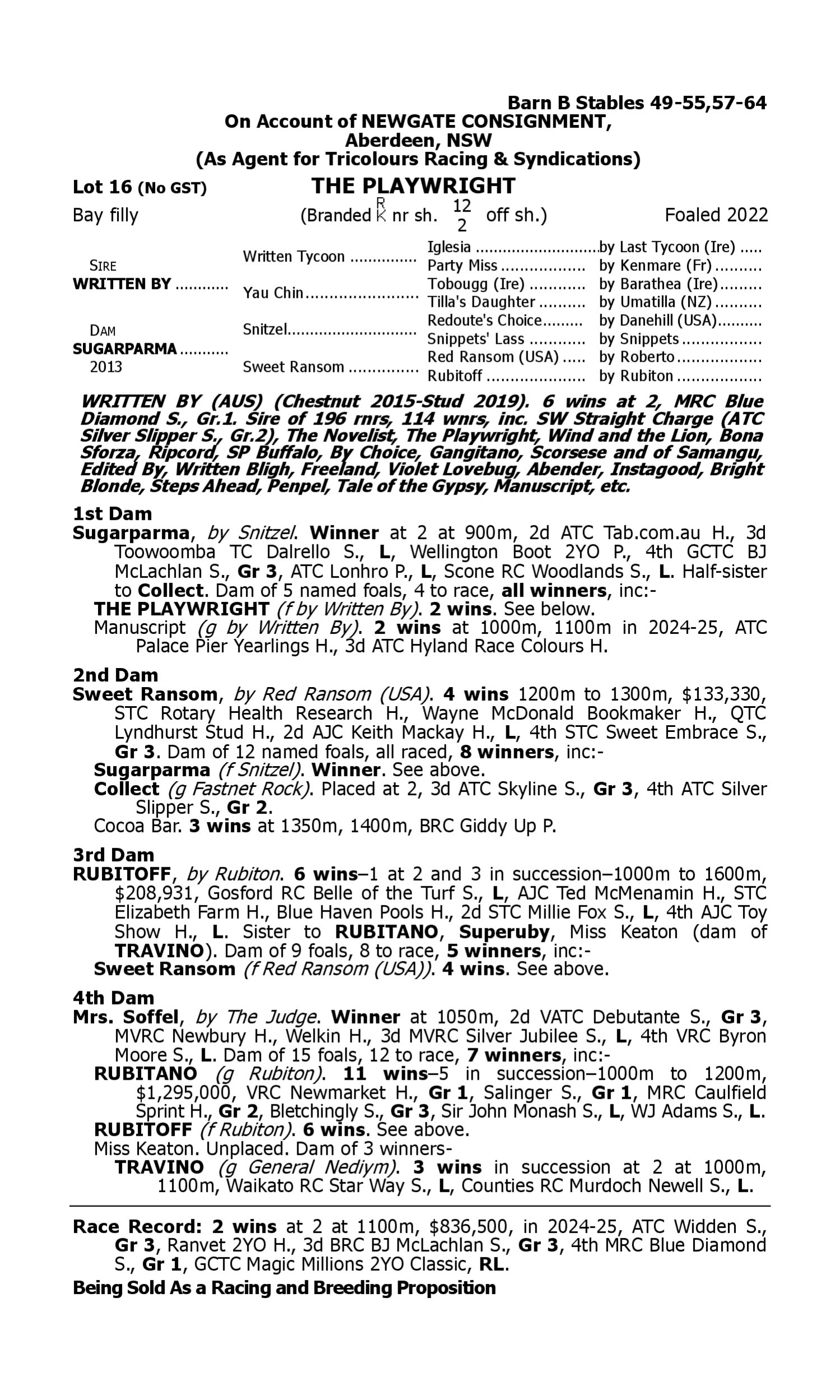 Pedigree for Lot 16 Written By - Sugarparma