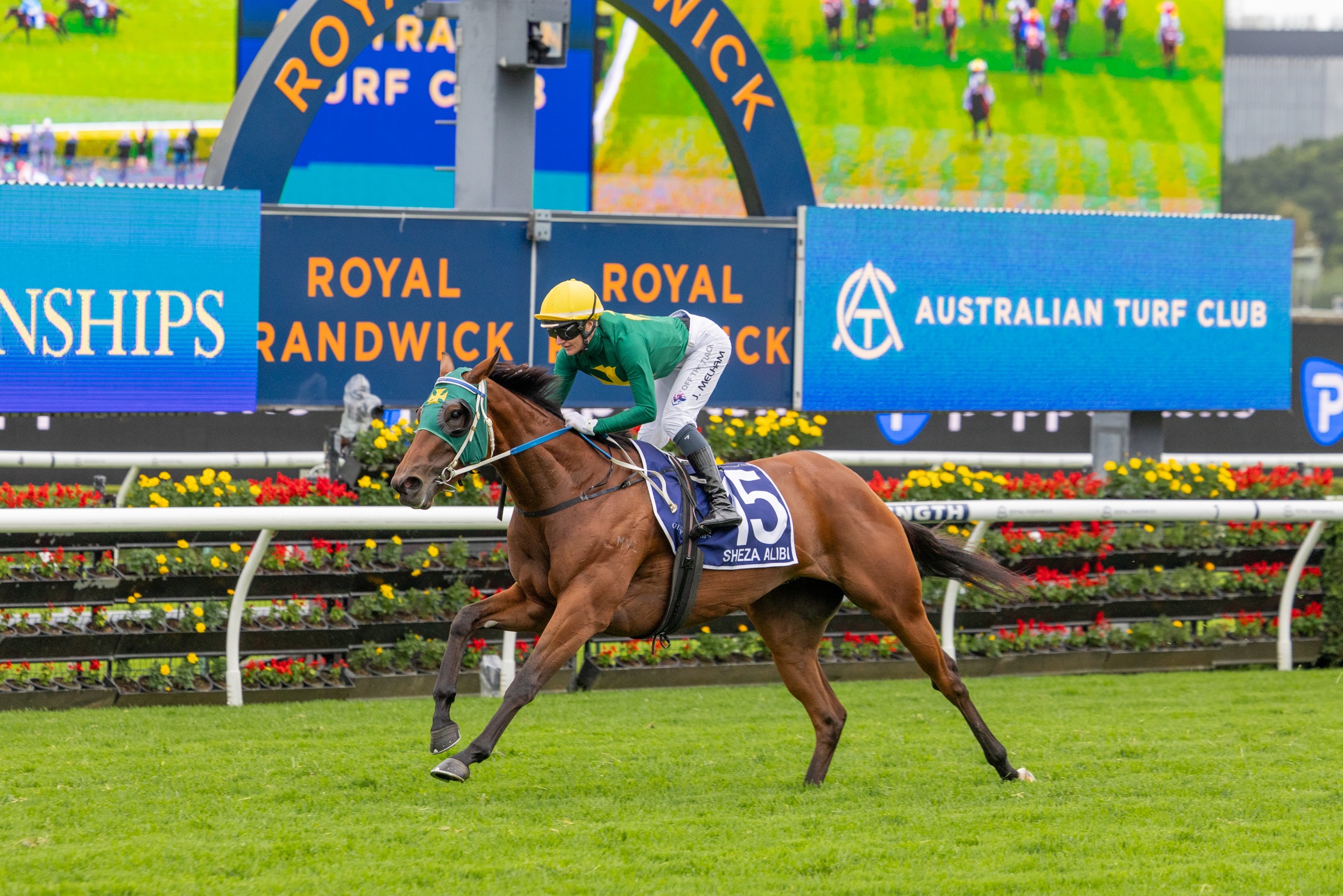 Sheza Alibi scores breathtaking win in G1 Doncaster Mile