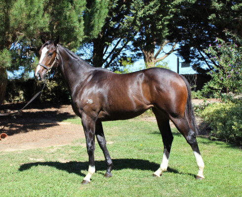 Lot 185: North Pacific / No Sail