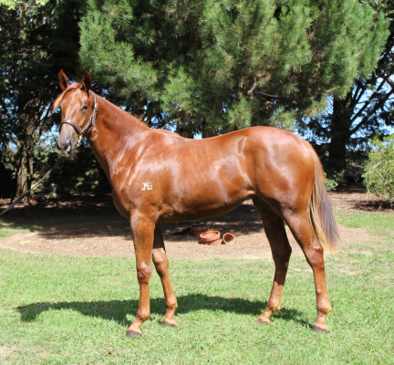 Lot 209: Captivant / Relargo