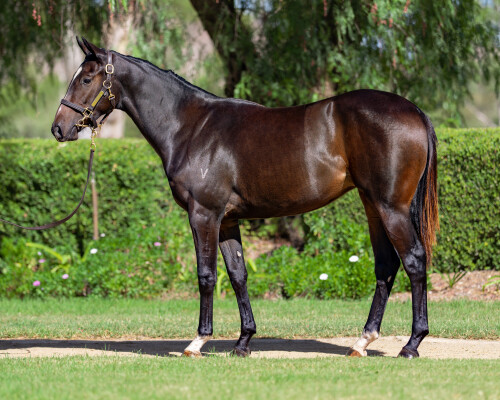 Lot 124: Exceedance / Gentle Persuasion
