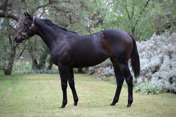 Lot 109: Dirty Work / Cos I'm the Boss