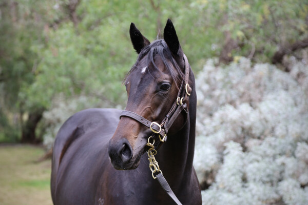 Lot 109: Dirty Work / Cos I'm the Boss