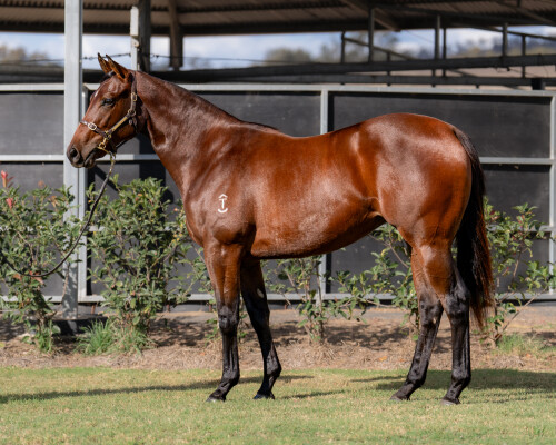 Lot 26: Tassort / Stashes