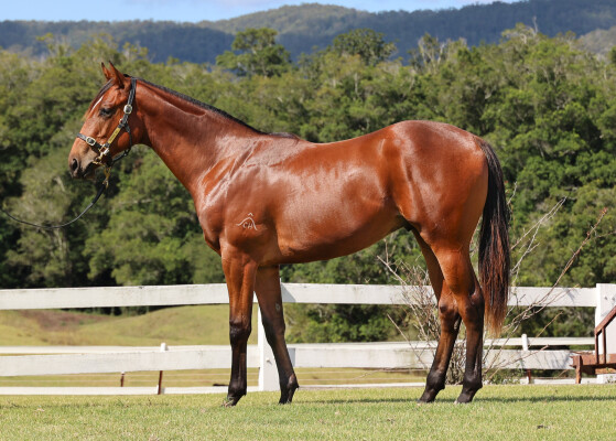 Lot 5: Written By / Saturday Affair