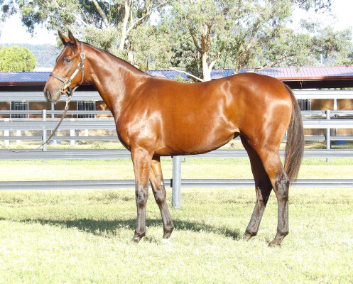 Lot 63: Smart Missile / All Too Scottish