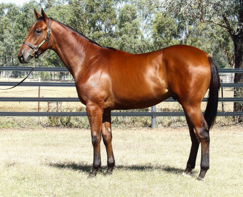 Lot 106: Star Turn / Considerable