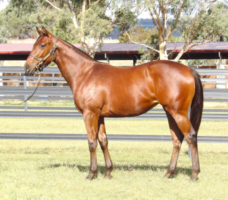 Lot 140: Yes Yes Yes / Infinitely Perfect