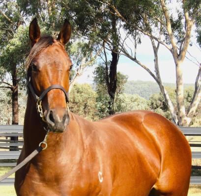 Lot 140: Yes Yes Yes / Infinitely Perfect