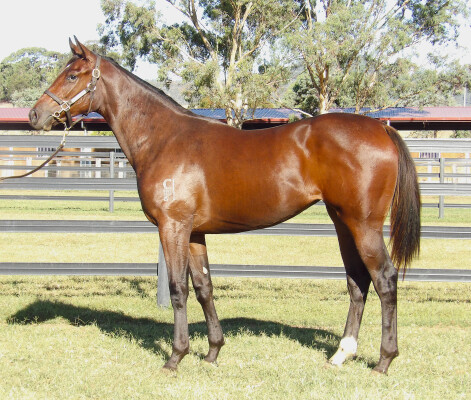 Lot 179: Cosmic Force / Mitzi