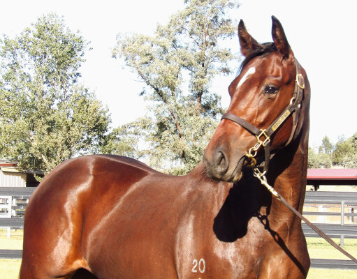 Lot 179: Cosmic Force / Mitzi