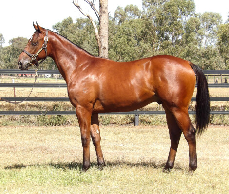 Lot 192: Justify (USA) / Peaceful Sea