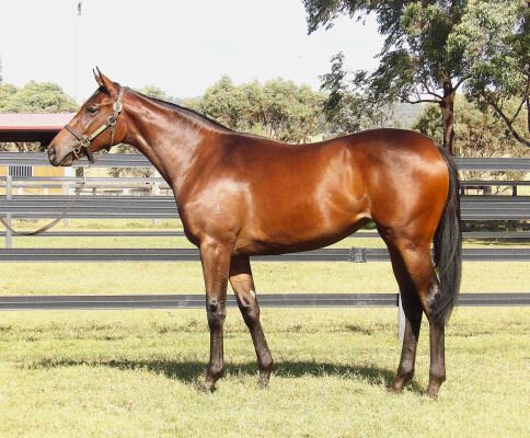 Lot 199: Stay Inside / Press Report
