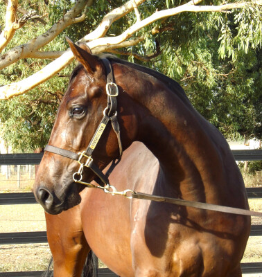 Lot 199: Stay Inside / Press Report