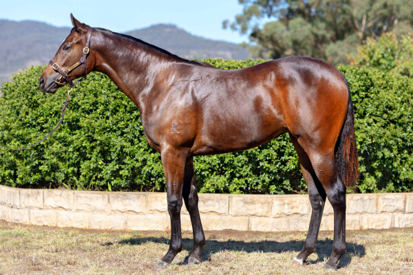 Lot 19: Exceedance / Society
