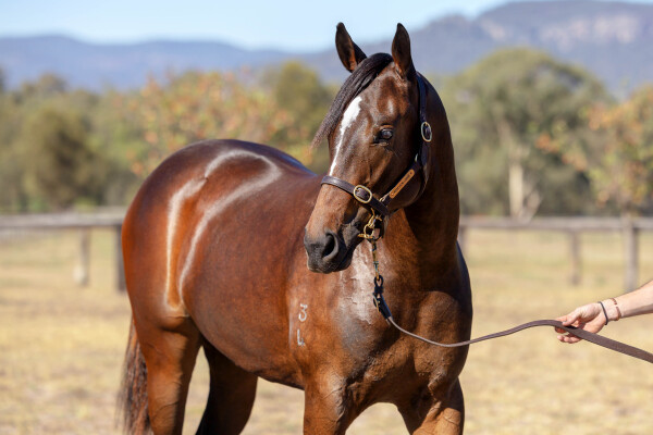 Lot 19: Exceedance / Society