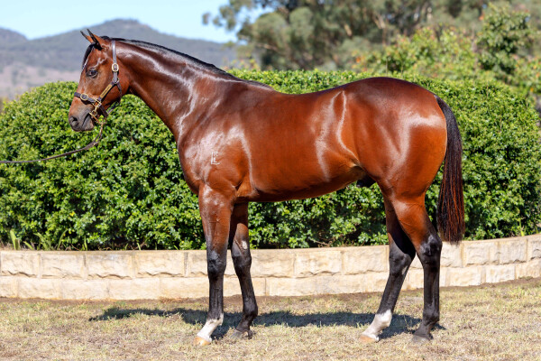Lot 127: Headwater / Got the Gems