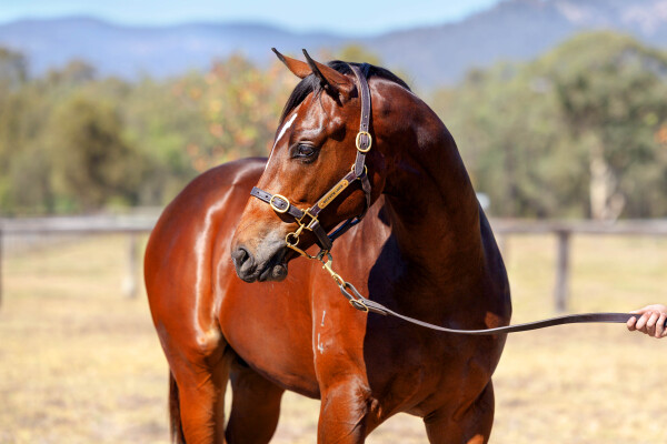 Lot 127: Headwater / Got the Gems