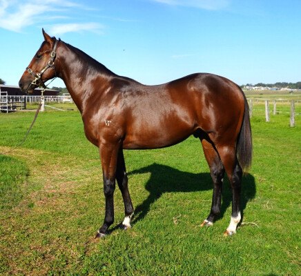 Lot 160: Cosmic Force / Lightning Nic