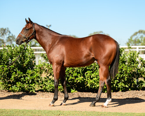 Lot 61: Astern / Absurd