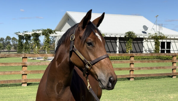 Lot 122: Capitalist / Florent