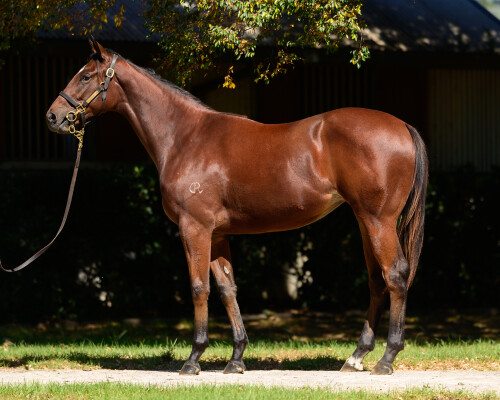 Lot 83: Yes Yes Yes / Botticelli Angel