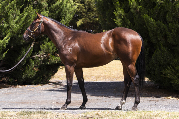 Lot 152: Zousain / Lady Herbert