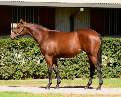 Lot 163: Portland Sky / Little Miss Magic