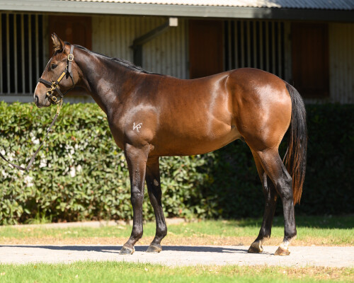 Lot 173: Trapeze Artist / Miss Billionaire