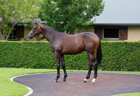 Lot 129: Dirty Work / Gruinard Bay