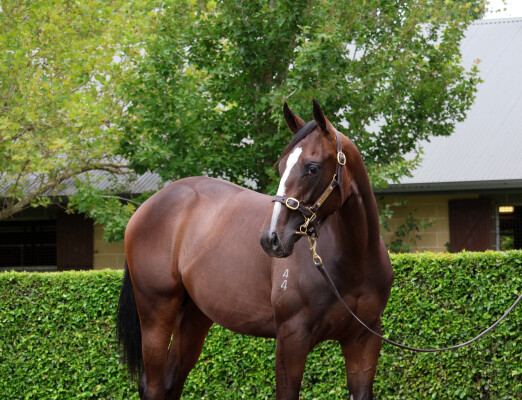 Lot 129: Dirty Work / Gruinard Bay