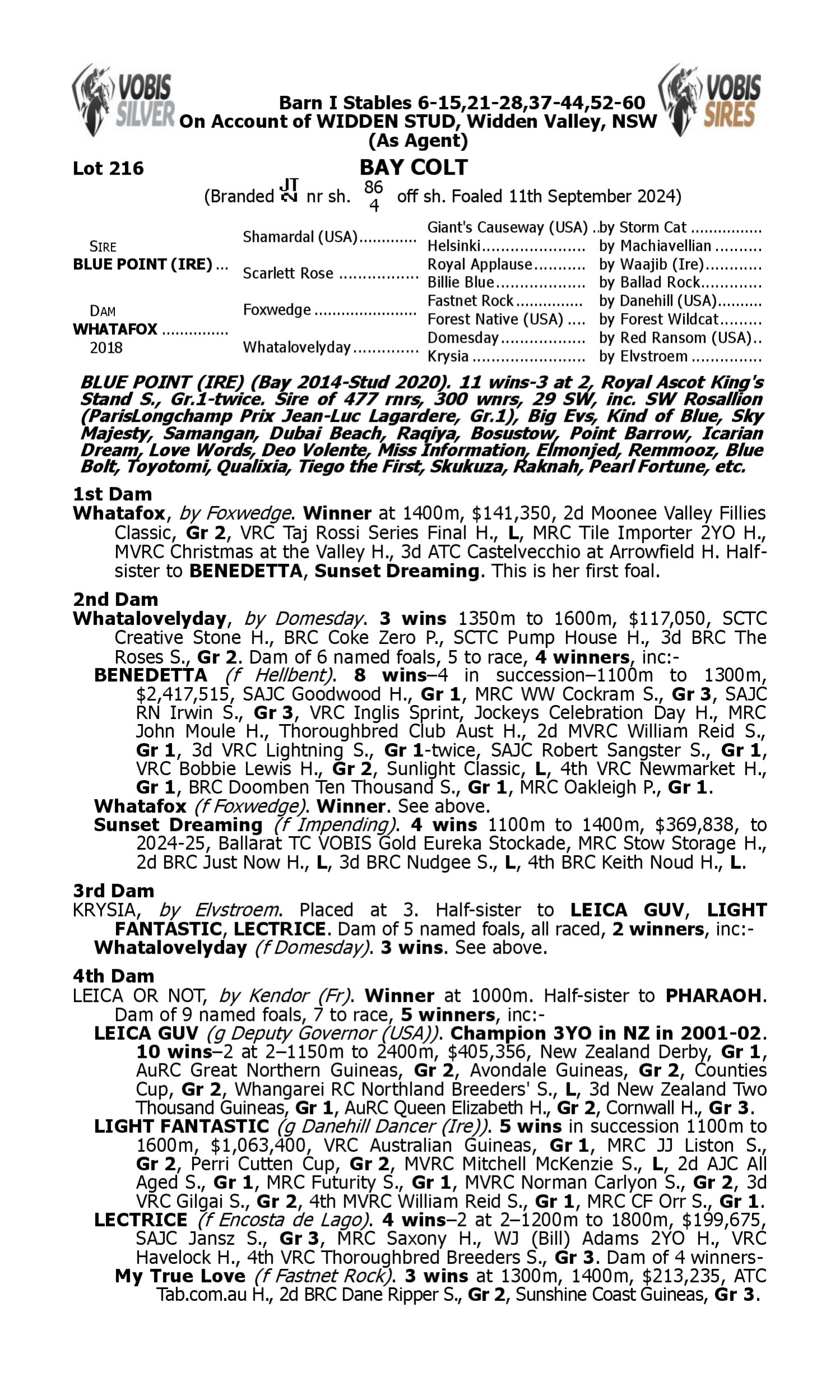 Pedigree for Lot 216 Blue Point (IRE) - Whatafox