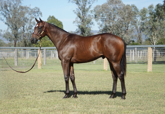 Lot 128: Artorius / Got Your Six
