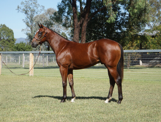 Lot 137: Artorius / I'm Madeline