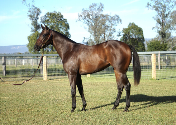 Lot 176: Cosmic Force / Missile Rain