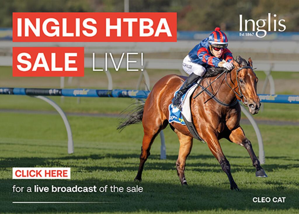 2026 HTBA Yearling Sale