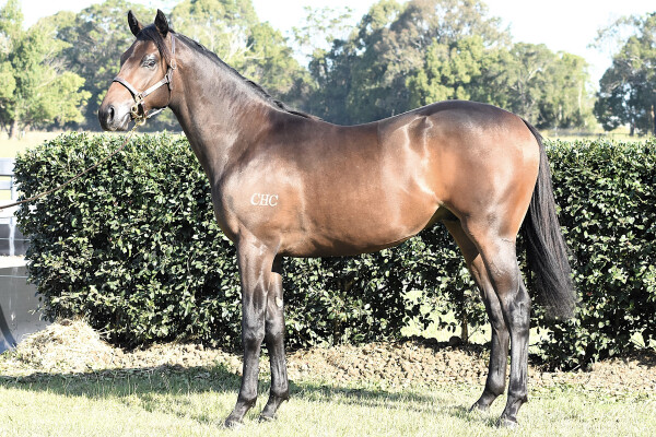 Lot 51: Russian Revolution / Why be Discreet