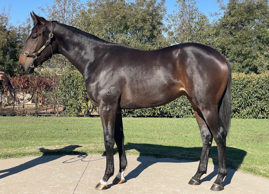 Lot 98: Prized Icon / Chorus of Angels (GB)
