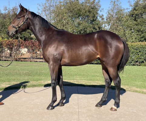 Lot 125: Finance Tycoon / Give Val a Ring