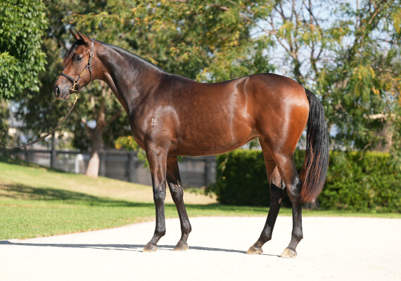 Lot 70: Cosmic Force / Artie Fartie