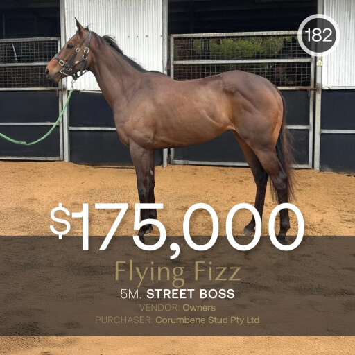 Flying Fizz tops April (Early) Sale at $175,000