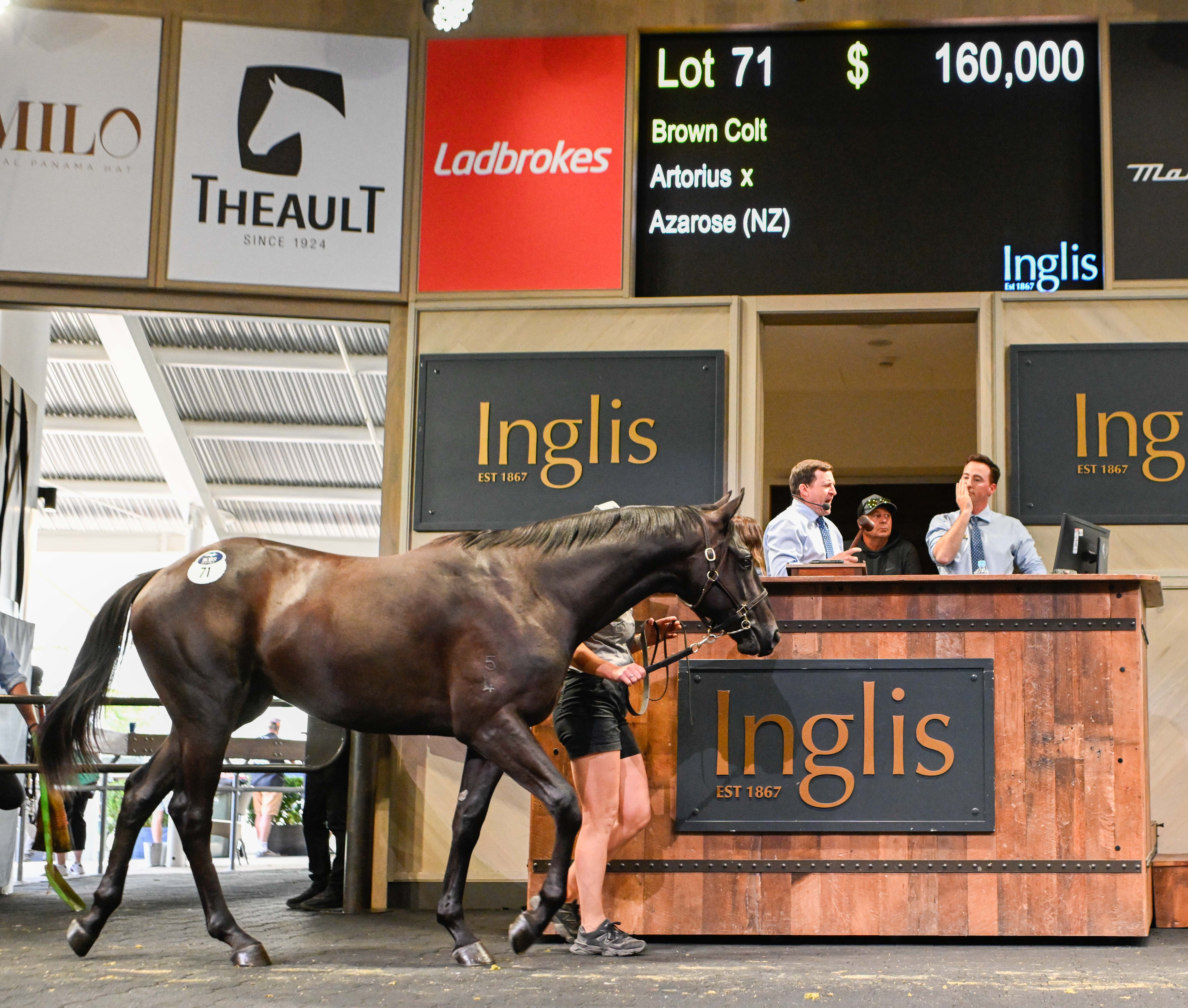 HTBA top lots to be re-offered at Inglis Ready2Race