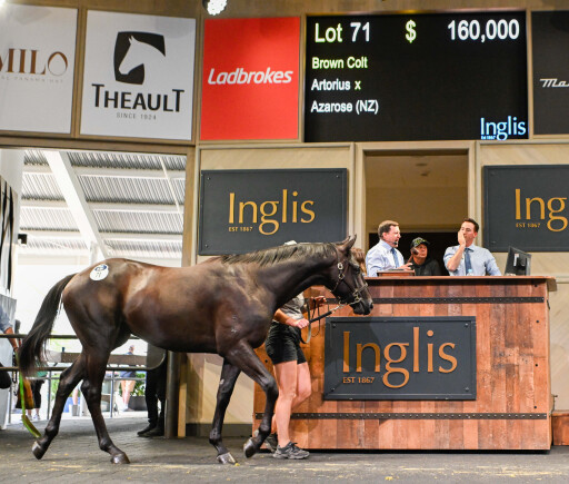 HTBA top lots to be re-offered at Inglis Ready2Race