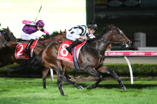Lot 89: Deep Field / Iceland Turf Belle