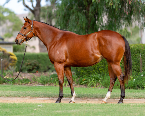 Lot 1: Exceed and Excel / Cleanup