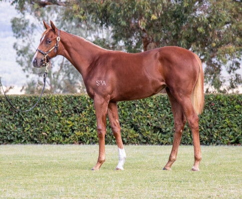 Lot 183: Stay Inside / Bourbon Street