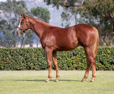 Lot 273: Stay Inside / Gasolier